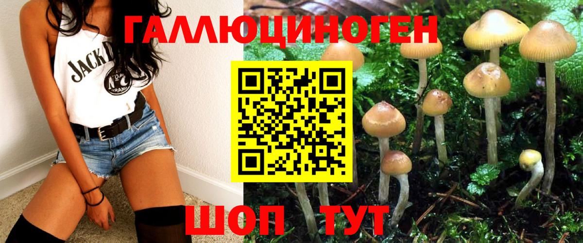 Карталы  Псилоцибиновые грибы Psilocybe  дарнет шоп  Вход с VPN 